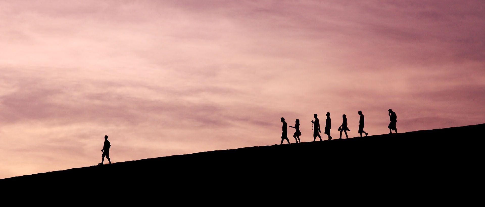What To Look For In A Data Leadership Role